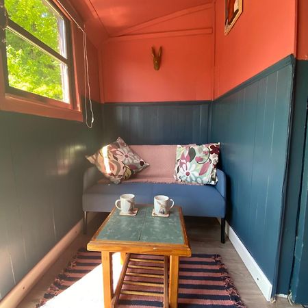 The Hares Hut At Carrigeen Glamping Kilkenny Exterior photo