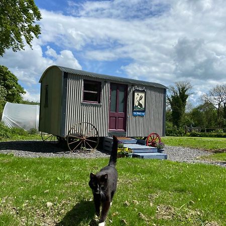 The Hares Hut At Carrigeen Glamping Kilkenny Exterior photo