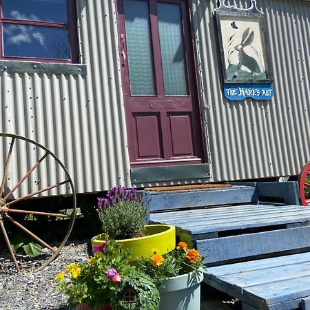 The Hares Hut At Carrigeen Glamping Kilkenny Exterior photo