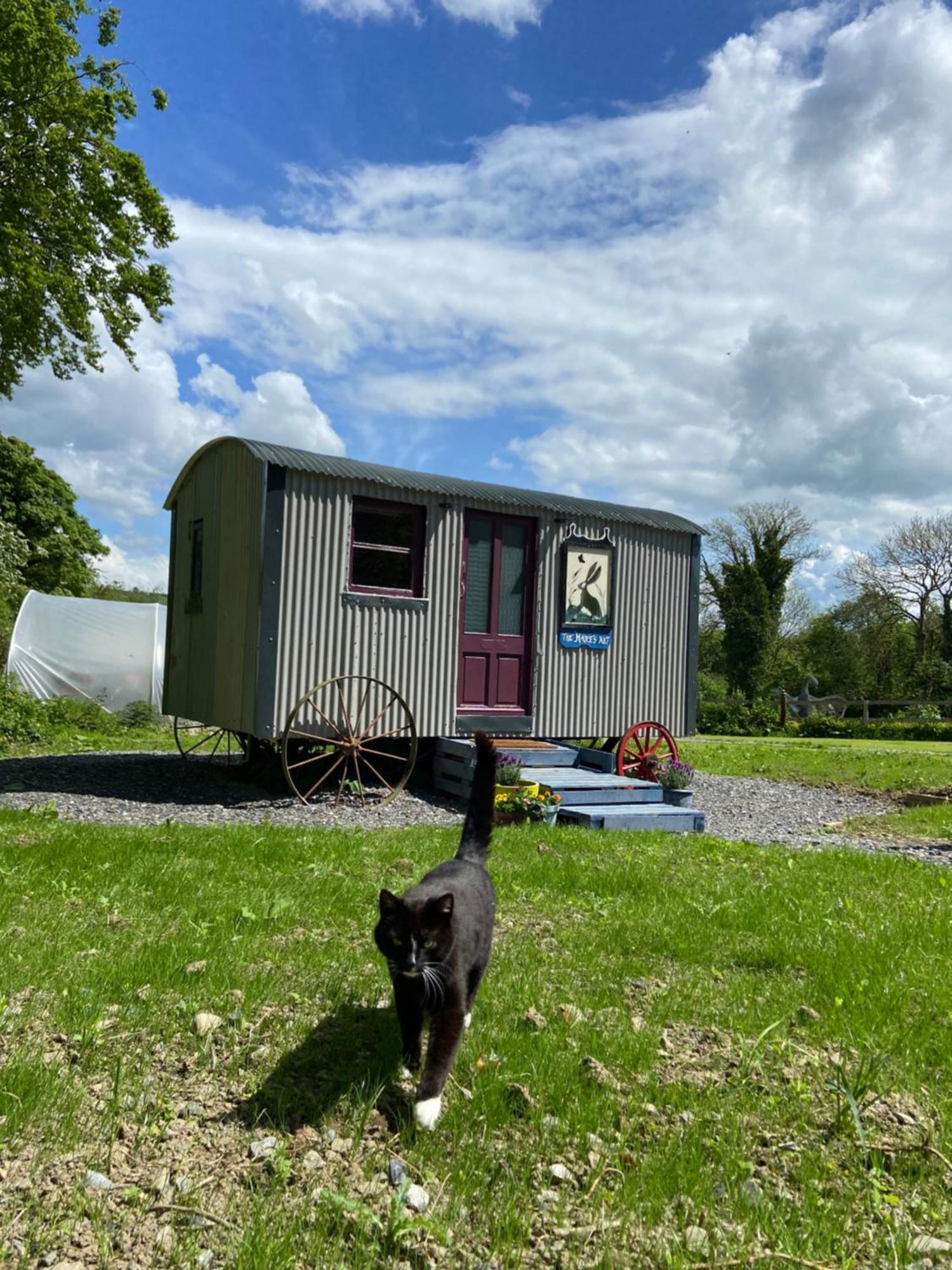 The Hares Hut At Carrigeen Glamping Kilkenny Exterior photo