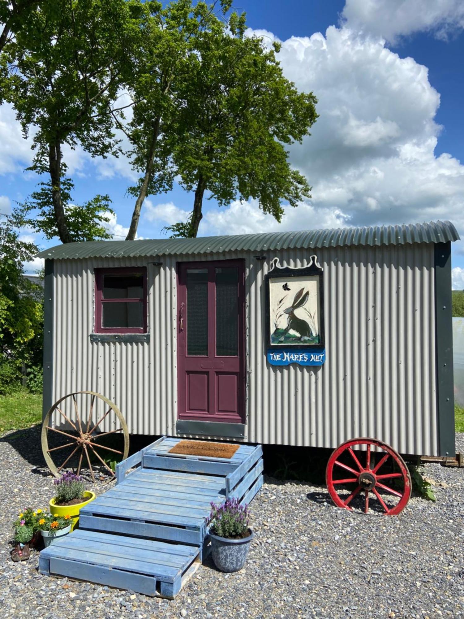 The Hares Hut At Carrigeen Glamping Kilkenny Exterior photo